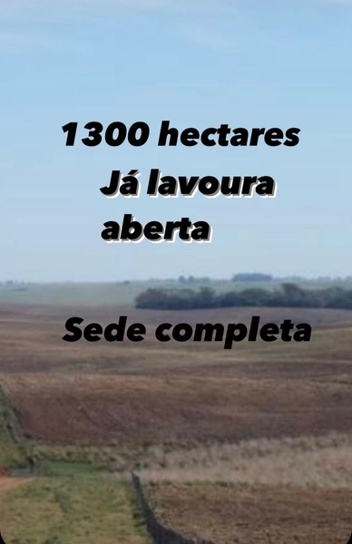 1300 hectares de terra para soja: 1ª foto da galeria de imagens do imóvel