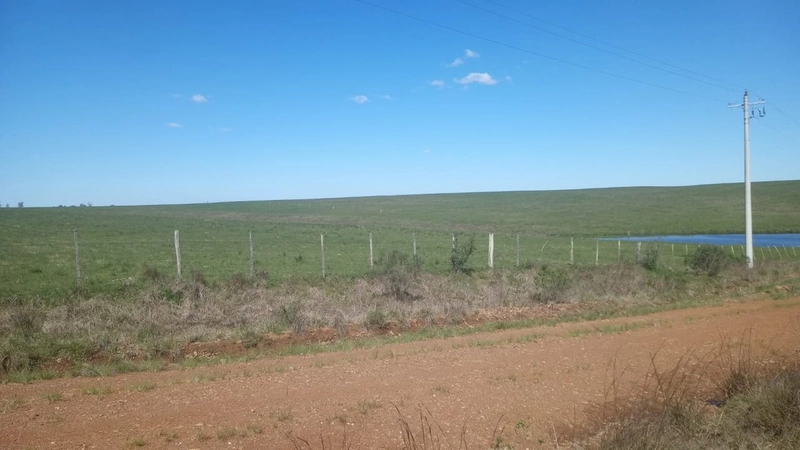 225 hectares de terra para soja e pecuária