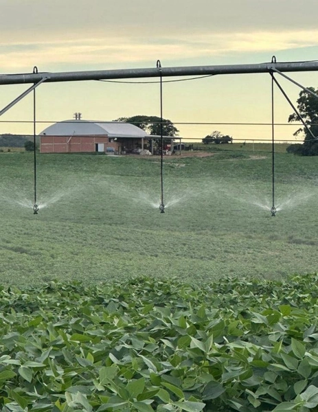 734 HECTARES COM PIVÔ E ARMAZÉM, PERTO DO ASFALTO: 1ª foto da galeria de imagens do imóvel