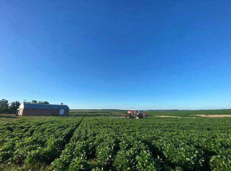734 HECTARES COM PIVÔ E ARMAZÉM, PERTO DO ASFALTO: 8ª foto da galeria de imagens do imóvel