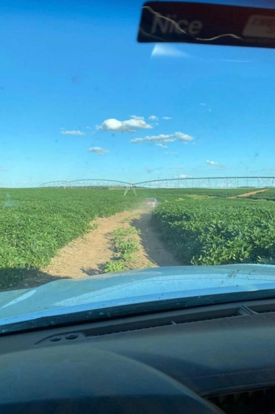 734 HECTARES COM PIVÔ E ARMAZÉM, PERTO DO ASFALTO: 10ª foto da galeria de imagens do imóvel