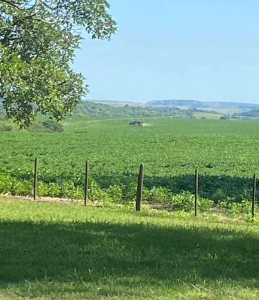 734 HECTARES COM PIVÔ E ARMAZÉM, PERTO DO ASFALTO: 6ª foto da galeria de imagens do imóvel