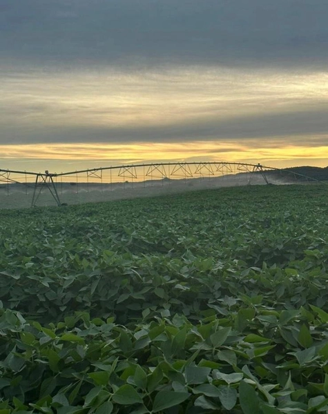734 HECTARES COM PIVÔ E ARMAZÉM, PERTO DO ASFALTO: 3ª foto da galeria de imagens do imóvel
