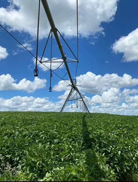 734 HECTARES COM PIVÔ E ARMAZÉM, PERTO DO ASFALTO: 7ª foto da galeria de imagens do imóvel