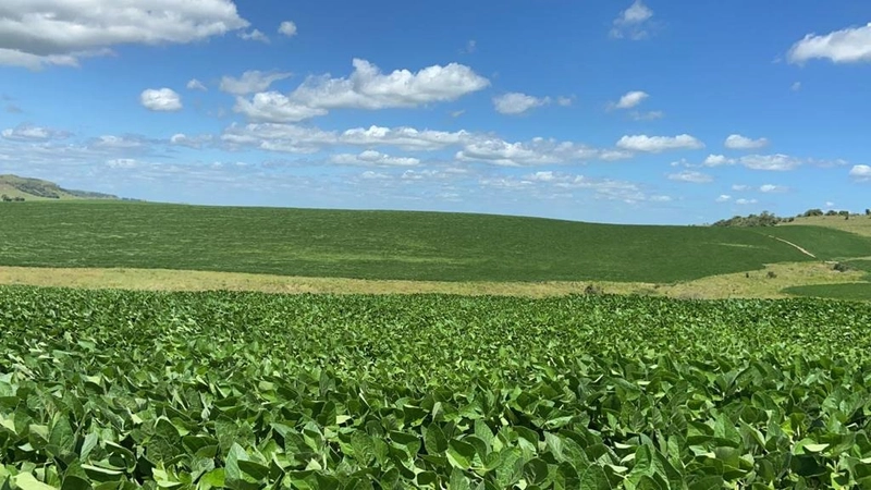 667 hectares de terra para soja e pecuária: 9ª foto da galeria de imagens do imóvel