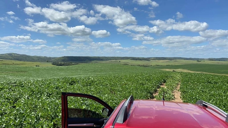 667 hectares de terra para soja e pecuária: 8ª foto da galeria de imagens do imóvel