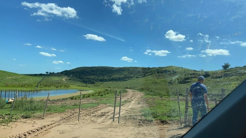 667 hectares de terra para soja e pecuária: 3ª foto da galeria de imagens do imóvel