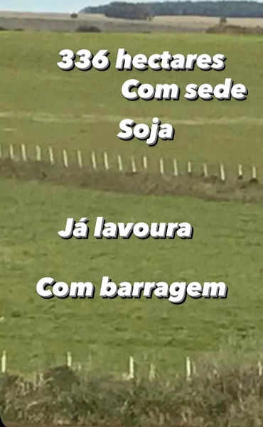 336 hectares de terra para soja: 1ª foto da galeria de imagens do imóvel