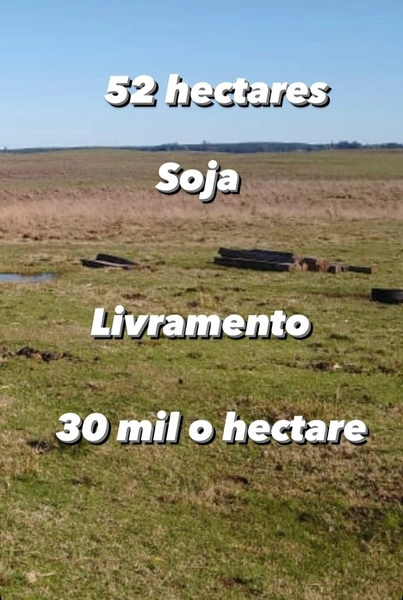 52 hectares de terra para pecuária: 1ª foto da galeria de imagens do imóvel