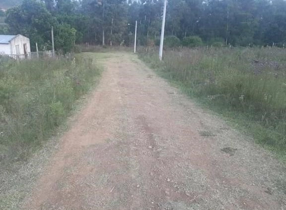 : 2ª foto da galeria de imagens do imóvel
