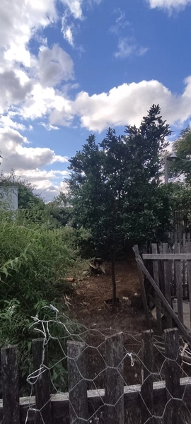 : 4ª foto da galeria de imagens do imóvel