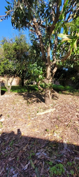 : 2ª foto da galeria de imagens do imóvel