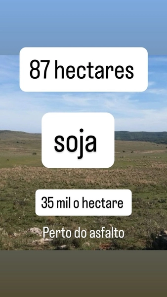 87 hectares , perto do asfalto , terra para soja.: 1ª foto da galeria de imagens do imóvel