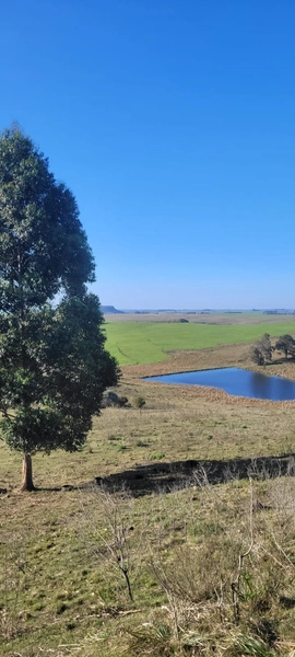 Aproximadamente 72 hectares de área total.: 11ª foto da galeria de imagens do imóvel
