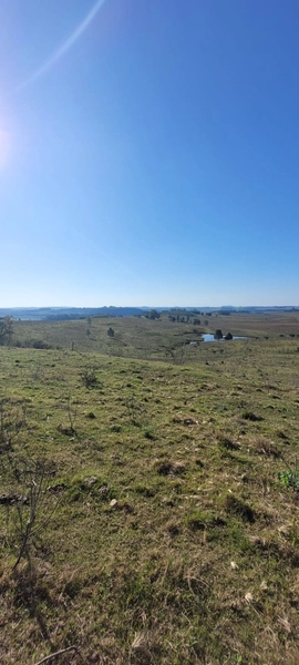 Aproximadamente 72 hectares de área total.: 7ª foto da galeria de imagens do imóvel