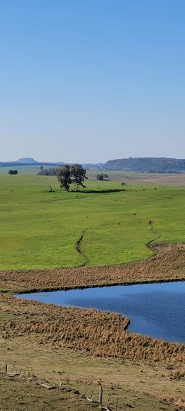 Aproximadamente 72 hectares de área total.: 14ª foto da galeria de imagens do imóvel