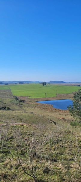 Aproximadamente 72 hectares de área total.: 13ª foto da galeria de imagens do imóvel