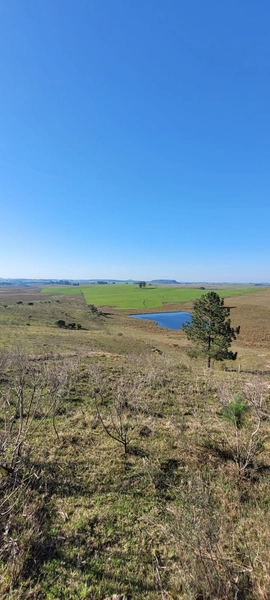 Aproximadamente 72 hectares de área total.: 12ª foto da galeria de imagens do imóvel