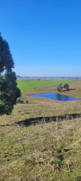Aproximadamente 72 hectares de área total.: 10ª foto da galeria de imagens do imóvel