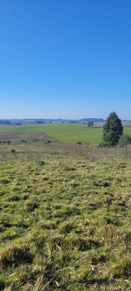 Aproximadamente 72 hectares de área total.: 4ª foto da galeria de imagens do imóvel