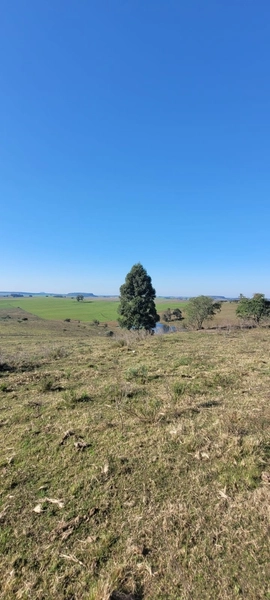Aproximadamente 72 hectares de área total.: 9ª foto da galeria de imagens do imóvel