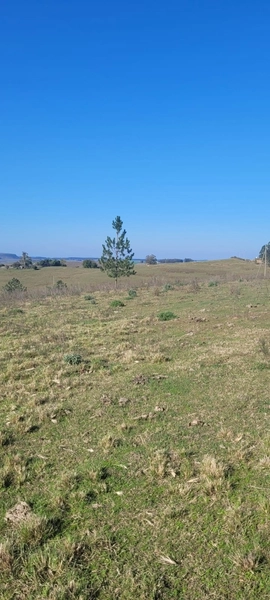 Aproximadamente 72 hectares de área total.: 6ª foto da galeria de imagens do imóvel