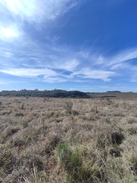 3,5 hectares: 6ª foto da galeria de imagens do imóvel