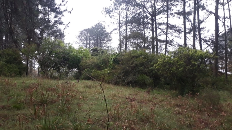 : 4ª foto da galeria de imagens do imóvel