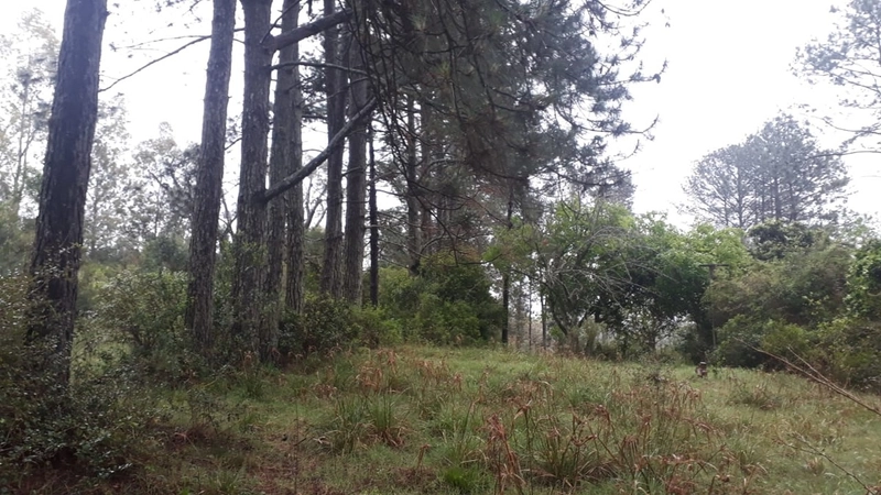 : 3ª foto da galeria de imagens do imóvel