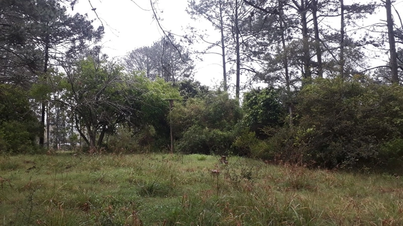 : 1ª foto da galeria de imagens do imóvel