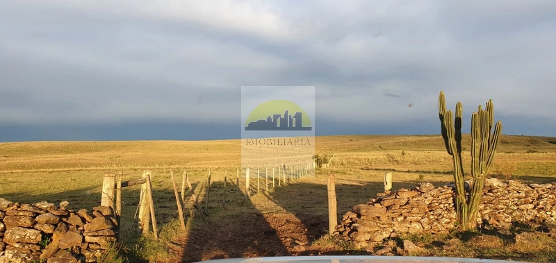 : 9ª foto da galeria de imagens do imóvel