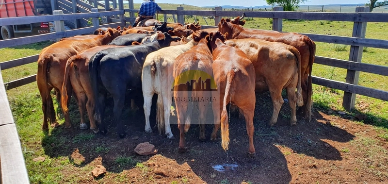 : 5ª foto da galeria de imagens do imóvel