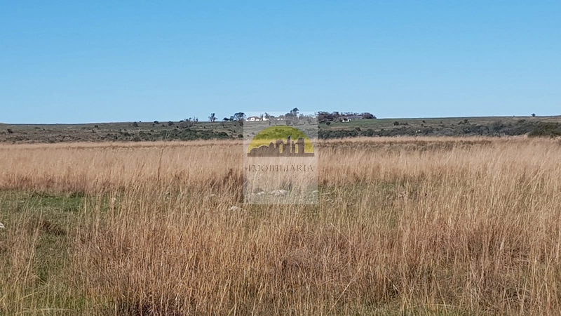 : 11ª foto da galeria de imagens do imóvel