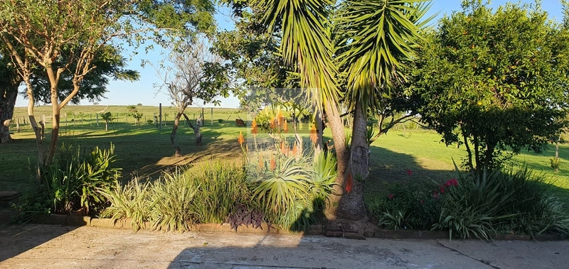 : 4ª foto da galeria de imagens do imóvel