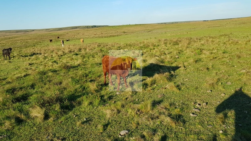 : 12ª foto da galeria de imagens do imóvel