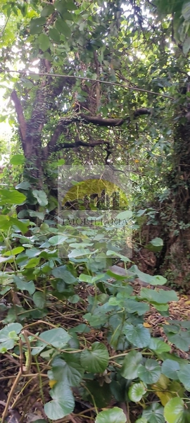 : 11ª foto da galeria de imagens do imóvel