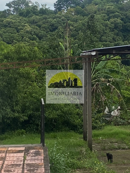 : 3ª foto da galeria de imagens do imóvel