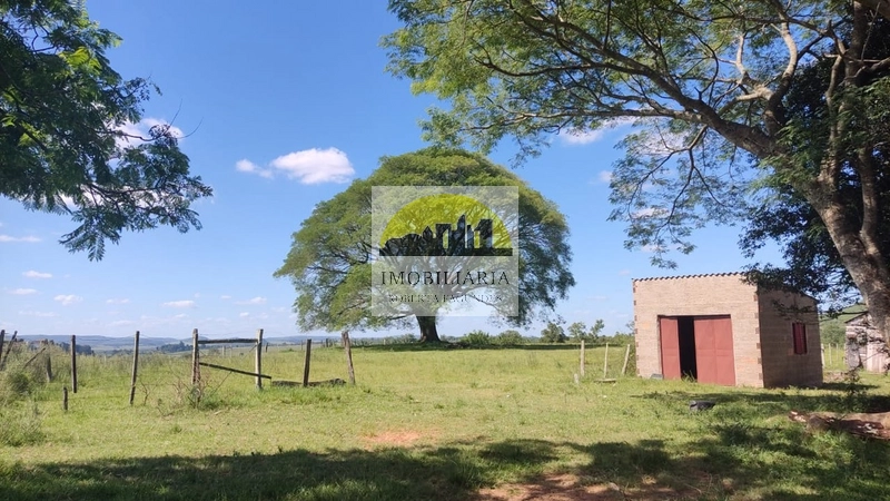 2 casas sendo 3 hectares: 6ª foto da galeria de imagens do imóvel