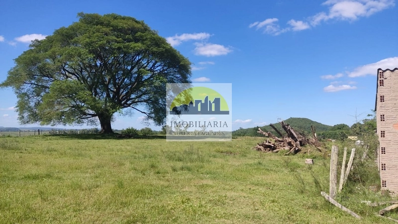 2 casas sendo 3 hectares: 5ª foto da galeria de imagens do imóvel