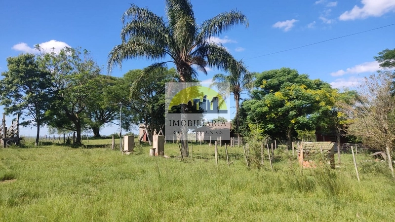 2 casas sendo 3 hectares: 9ª foto da galeria de imagens do imóvel