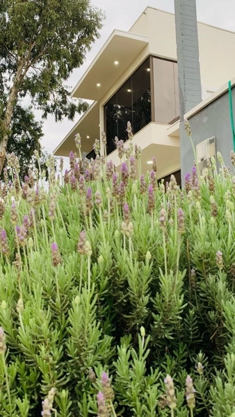 : 21ª foto da galeria de imagens do imóvel