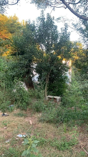 : 2ª foto da galeria de imagens do imóvel