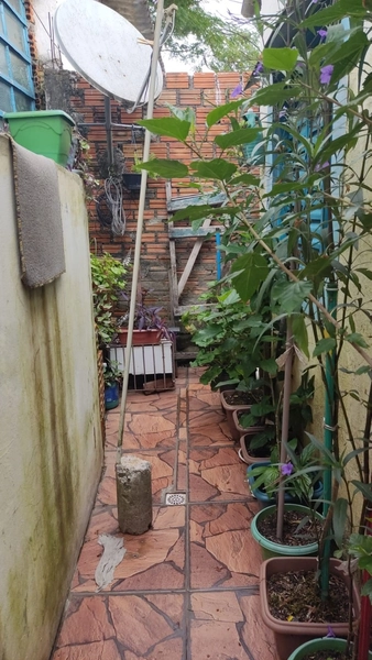 02 casa cada uma com 1 dormitório e 1 banheiro.: 13ª foto da galeria de imagens do imóvel
