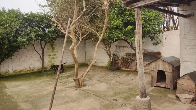 : 19ª foto da galeria de imagens do imóvel