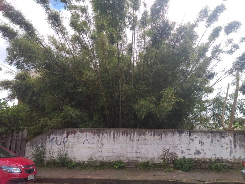 : 2ª foto da galeria de imagens do imóvel