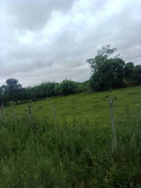 : 2ª foto da galeria de imagens do imóvel