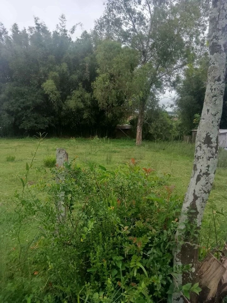 : 3ª foto da galeria de imagens do imóvel