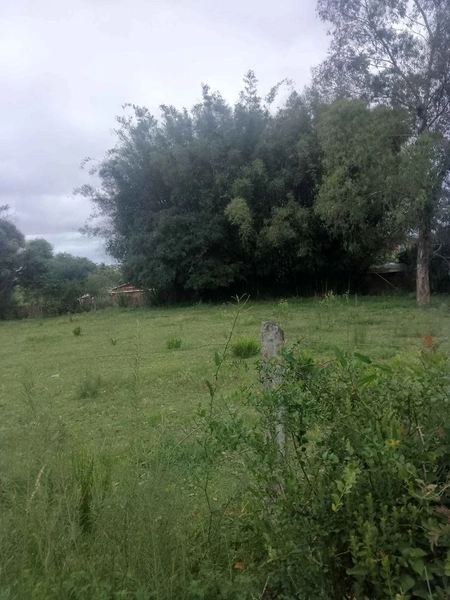 : 5ª foto da galeria de imagens do imóvel