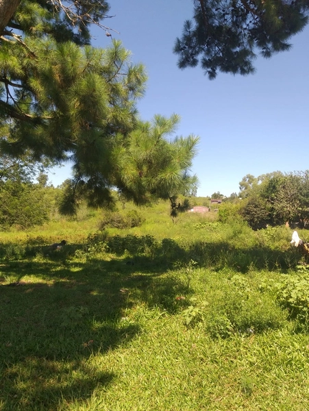 : 2ª foto da galeria de imagens do imóvel