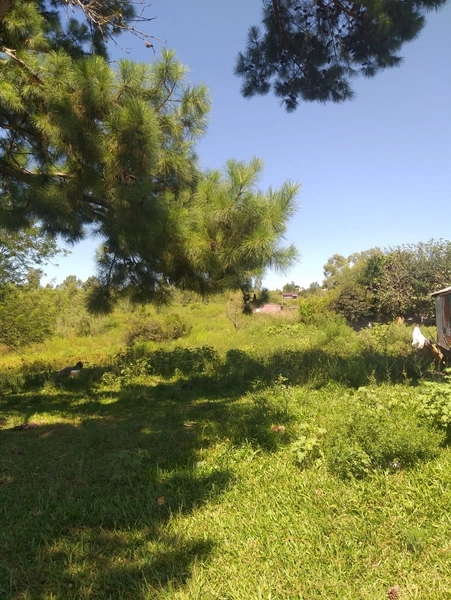 : 1ª foto da galeria de imagens do imóvel